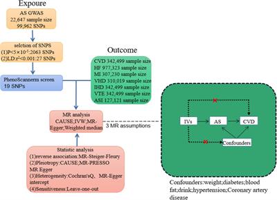 No evidence of a causal relationship between ankylosing spondylitis and cardiovascular disease: a two-sample Mendelian randomization study